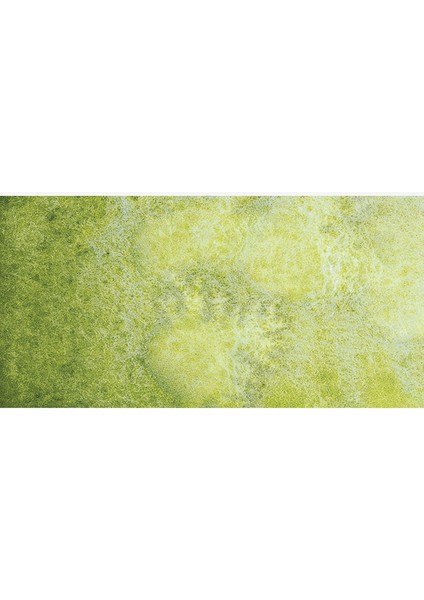 : Horadam Aquarell Supergranulation Sulu Boya : Shire Olive : Yarım Tablet fiyatları