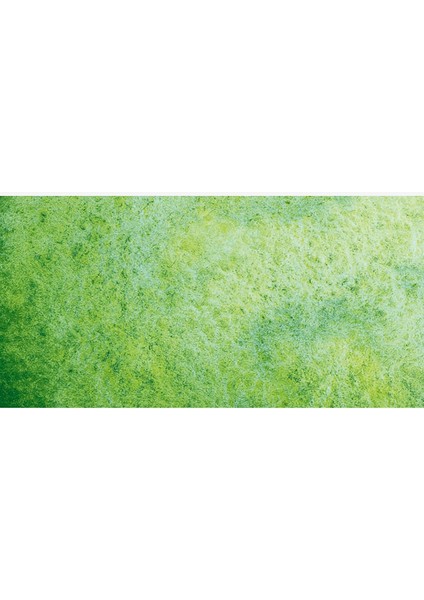 : Horadam Aquarell Supergranulation Sulu Boya : Shire Green : 15 ml