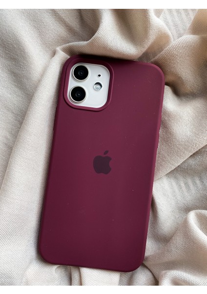 Apple iPhone 11 Lansman Kılıf