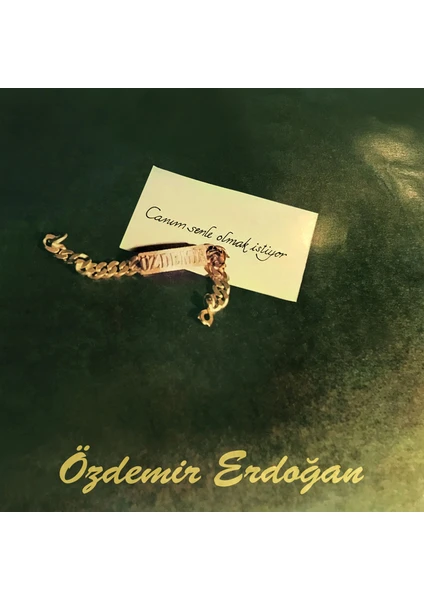 Pal Özdemir Erdoğan / Canım Senle Olmak Istiyor (Analog 180GR)(PLAK)