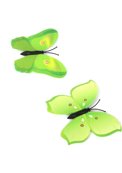 12 Adet Yapay Kelebek (Yurt Dışından) modelleri
