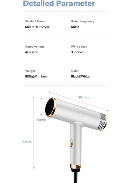 Negatif Iyonlar Saç Kurutma Makinesi Sıcak ve Soğuk Rüzgar 3 Hız Difüzyon Meme Sıcaklık Ayarı Saç Kurutma Makinesi (Yurt Dışından)