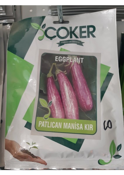 Manisa Kır Patlıcan Tohumu
