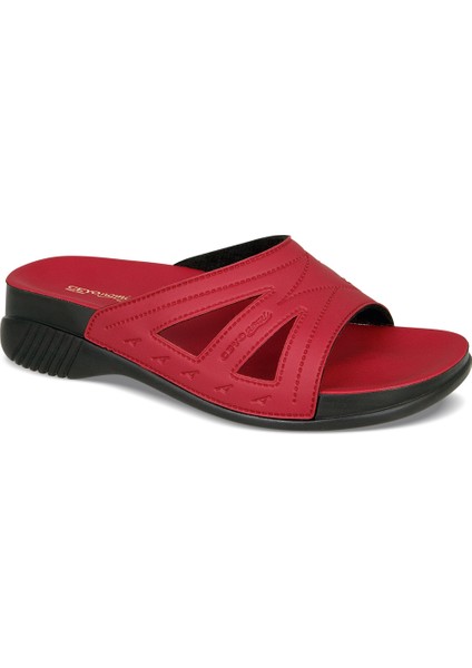 Belize Zenne (35-40) fiyatları