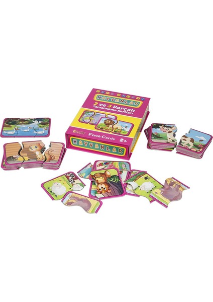 1185 Dıytoy Flash Cards - Hayvanlar / + 2 Yaş