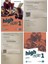 High Note 1 Student’s Book + Workbook With Online Practice 1