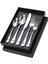 5x Paslanmaz Sofra Takımı Piknik Çatal Teşheri Yemek Takımları Gümüş(Yurt Dışından) 1