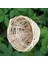 15'lü Bambu Dokuma Küçük Kuş Yuvası Asuk Kafes Çıkma Finch Parrot Canary 10X6CM (Yurt Dışından) 5