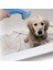 Pet Zoom Otomatik Kedi Köpek Yıkama Fırçası Tabancası Köpek Banyo Fıskıyesi 4