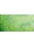 : Horadam Aquarell Supergranulation Sulu Boya : Shire Green : 15 ml 2