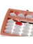 13 Sıralar Japon Soroban Beyaz Boncuklar Abacus Matematik Çocuk Sayma Aracı Çok Molored 4