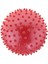 4x6 Inç Pvc Şişirilmiş Knobby Bouncy Ball Masaj Duyusal Top Çocuk Oyuncak Kırmızı 4 Pcs 5