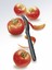 Victorinox Soyacak 1