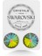 Union Swarovski Crystal Kadın Vitrail Medium Taşlı 12MM Çivili Gümüş Küpe 1