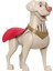 Imaginext Dc League Of Super Pets Sesli Figürler HJF28 - Krypto 2