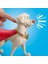 Imaginext Dc League Of Super Pets Sesli Figürler HJF28 - Krypto 4