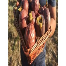 Pasiflora Çarkıfelek Meyvesi 1 kg