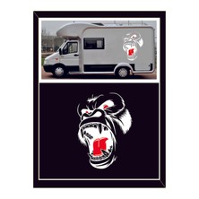 Eyba Sticker Goril Sticker 1 Adet Kong Kafatası - Oto Sticker - Kamp Sticker - Karavan Sticker Kong