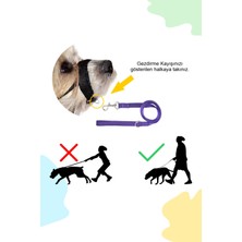 Pet's Go Köpek Ağızlığı ve Eğitim Tasması