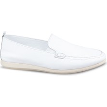 Ceyo 5556 (36-40)
