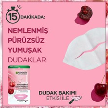 Garnier Dudak Nemlendirici Bakım Maskesi