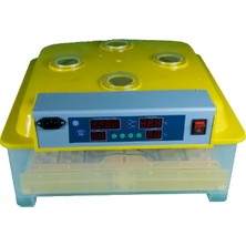 Efe Kuluçka Makineleri Bıldırcın Kuluçka Makinesi