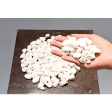 Bitki Kapında Beyaz Dolomit Taşı 1-2cm, Peyzaj Taşı, Dekoratif Akvaryum Taşı, Süs Taşı, Saksı Taşı, Beyaz Taş, Bahçe Taşı