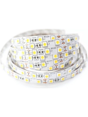 Inoled 4326-01 Smd 4040 Dış Ortam Şerit LED 5 mt