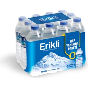Su 500 ml 12'li Paket Su