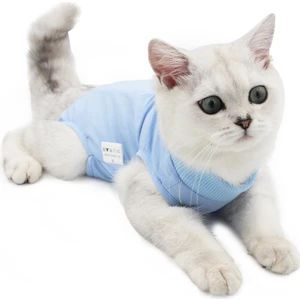 Pet Lastikli Cerrahi Önlük (Yurt Dışından)