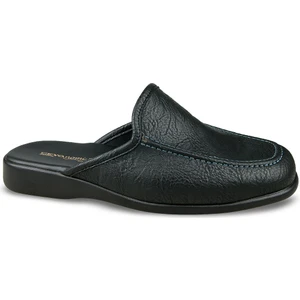 Renon-5 (40-45)