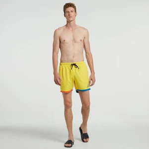 Erkek Sarı Standart Fıt Şort Mayo T25476T.70E