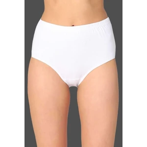 Kadın Ribana Yüksek Bel Bato Külot 3040/3041 - 6 Adet