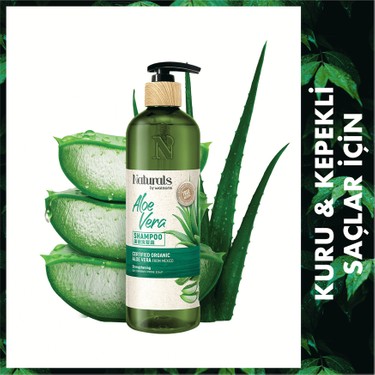 firma aloe vera Goya Original Flavor Aloe Vera Drink, 50.8 fl oz main image 1