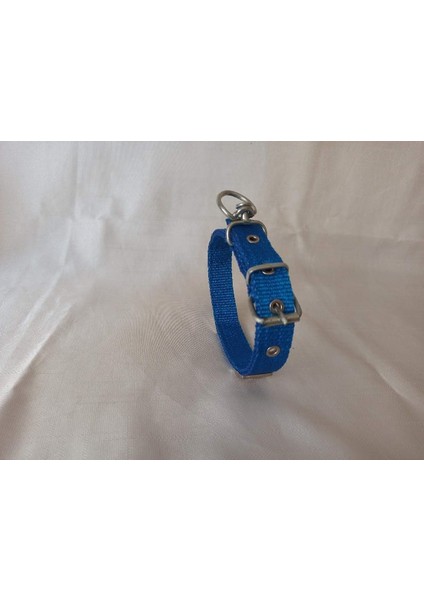 Süslü Köpek Boyun Tasması Boy 50 cm En 2.5 cm fırsatları