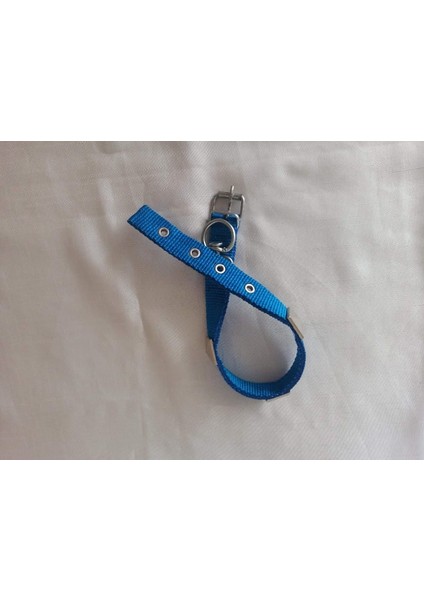 Süslü Köpek Boyun Tasması Boy 50 cm En 2.5 cm indirimleri