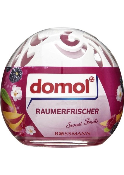 Oda Kokusu Küresi Böğürtlen ve Mango 100 ml