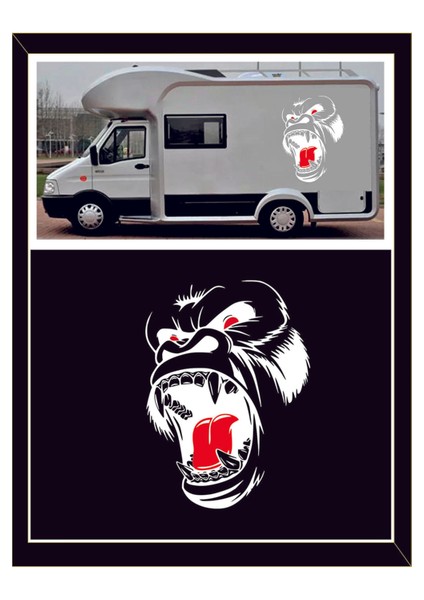 Goril Sticker 1 Adet Kong Kafatası - Oto Sticker - Kamp Sticker - Karavan Sticker Kong