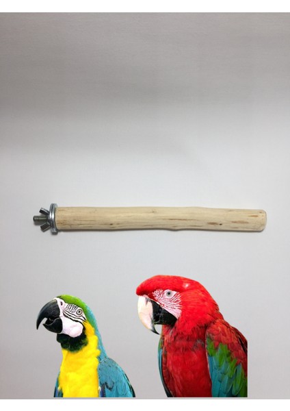 Tekli Ahşap Doğal Papağan Tüneği