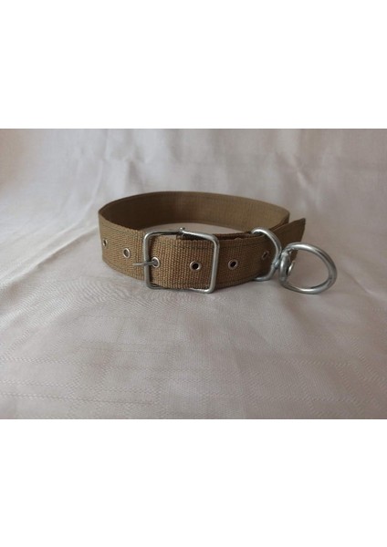 Büyük Irk Köpek Boyun Tasması Boy 75 cm En 4 cm