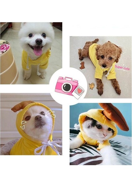 Pet Kapşonlu Kedi Köpek Sevimli Sıcak Kaban (Yurt Dışından) fırsatları