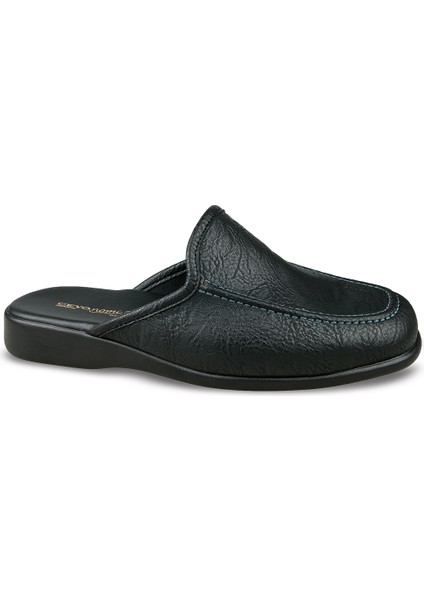 Renon-5 (40-45) modelleri
