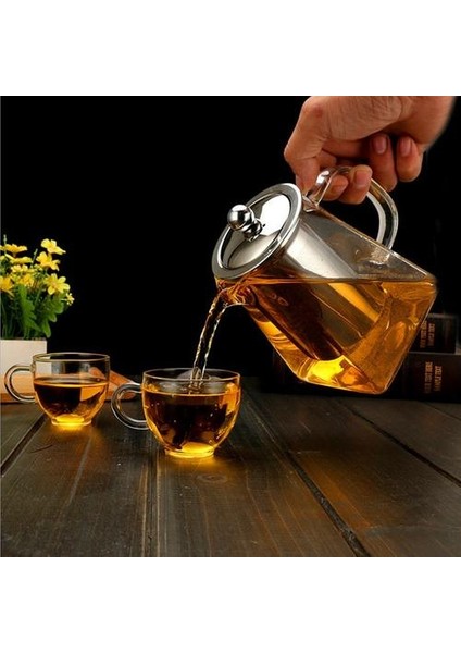 Isıya Dayanıklı Cam Çaydanlık Paslanmaz Çelik Çay ile Demlik Filtre Çiçek Çay Kettle Kung Fu Çay Seti Puer Oolong Çaydanlık | Çaydanlıklar(Yurt Dışından) modelleri