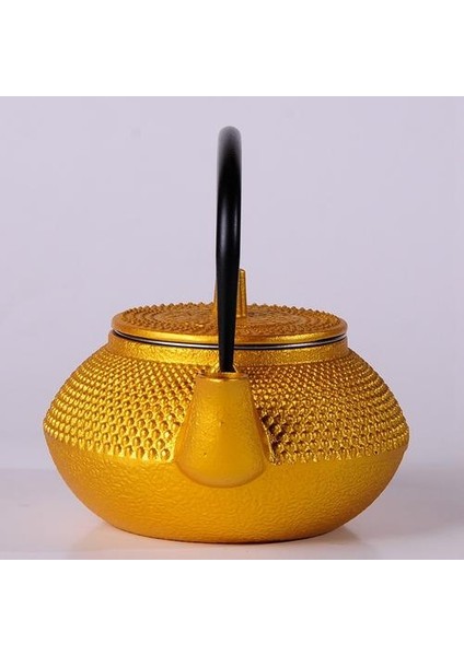 Filtre Çiçek Çay Bayan Dökme Demir Çay Tapotu Kettle Kahve Çaydanlık | Çaydanlıklar(Yurt Dışından)