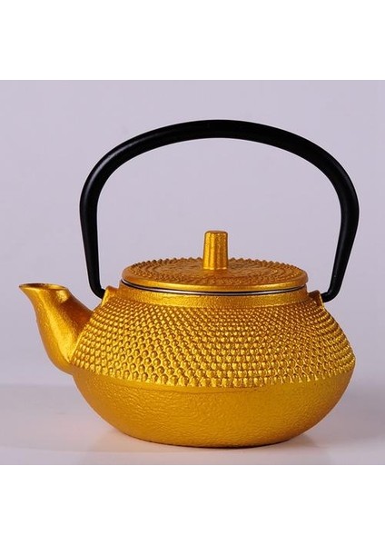 Filtre Çiçek Çay Bayan Dökme Demir Çay Tapotu Kettle Kahve Çaydanlık | Çaydanlıklar(Yurt Dışından)
