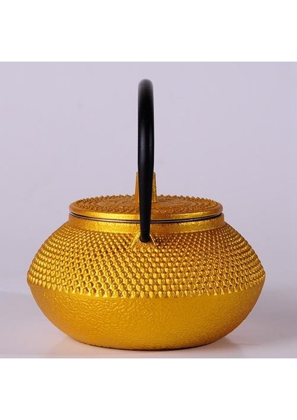 Filtre Çiçek Çay Bayan Dökme Demir Çay Tapotu Kettle Kahve Çaydanlık | Çaydanlıklar(Yurt Dışından)