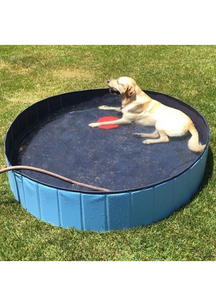 Katlanabilir Pvc Köpek Kedi Pet Yüzme Havuzu Pet Köpek (Yurt Dışından) indirimleri