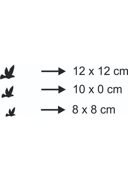 Üç Farklı Ebatta Siyah  Kuş Duvar Dekoru Zenginleştirici