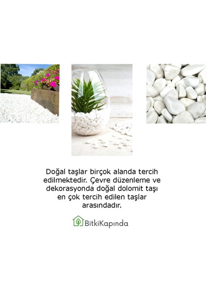 Bitki Kapında Beyaz Dolomit Taşı 1-2cm, Peyzaj Taşı, Dekoratif Akvaryum Taşı, Süs Taşı, Saksı Taşı, Beyaz Taş, Bahçe Taşı