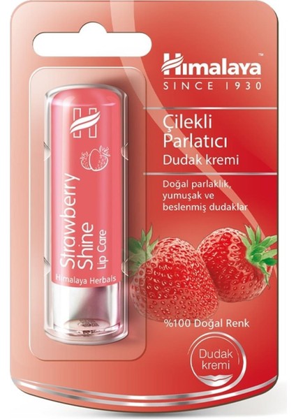 Çilek Dudak Kremi 4.5 gr